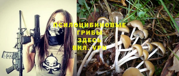 каннабис Алзамай