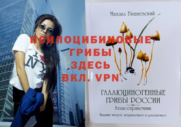 эйфоретик Алексеевка