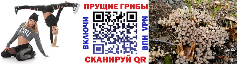 Псилоцибиновые грибы Magic Shrooms  Тара 